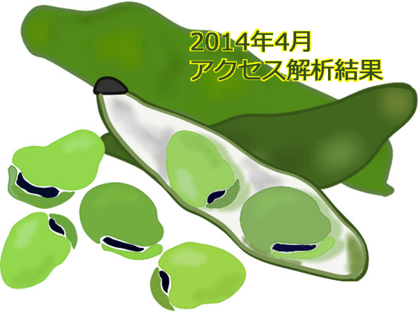 SSCブログ 月間アクセス解析