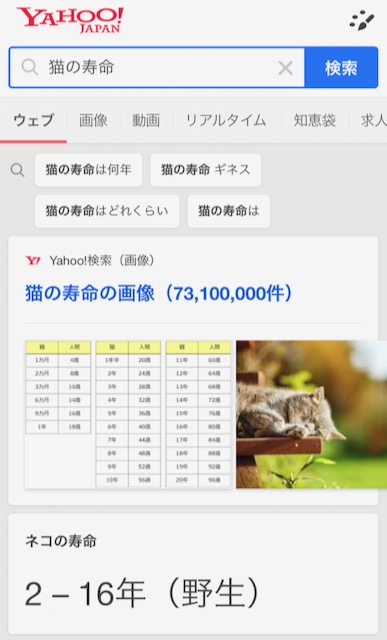 「猫の寿命」のナレッジカード・Yahoo検索版
